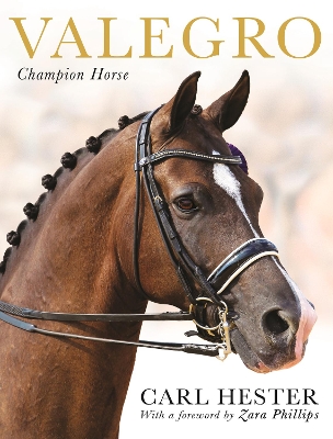 Book cover for Valegro