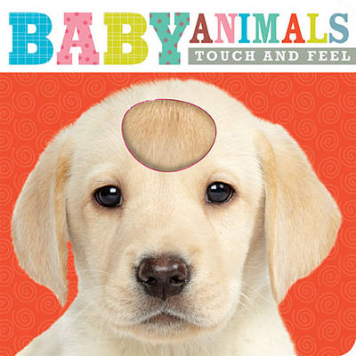 Book cover for Touch and Feel Baby Animals