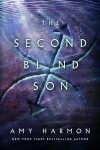 Book cover for The Second Blind Son