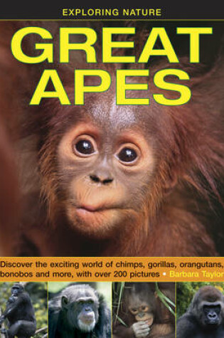 Cover of Exploring Nature: Great Apes