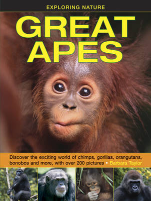 Book cover for Exploring Nature: Great Apes