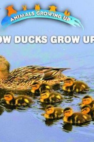 Cover of How Ducks Grow Up