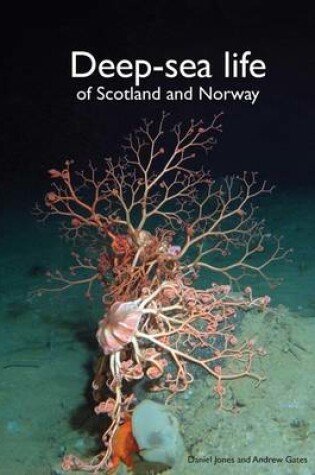 Cover of Deep-Sea Life of Scotland and Norway