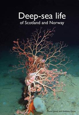 Book cover for Deep-Sea Life of Scotland and Norway