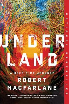 Book cover for Underland