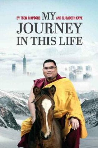 Cover of My Journey in This Life