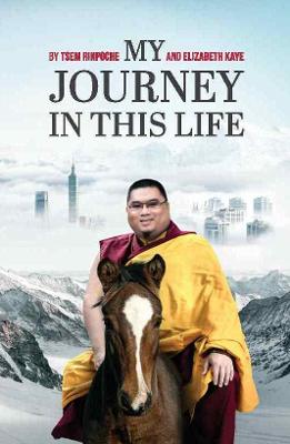 Book cover for My Journey in This Life