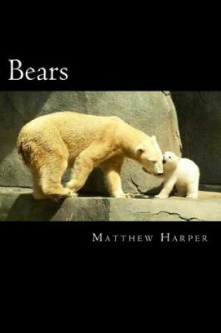 Cover of Bears