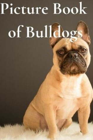 Cover of Picture Book of Bulldogs