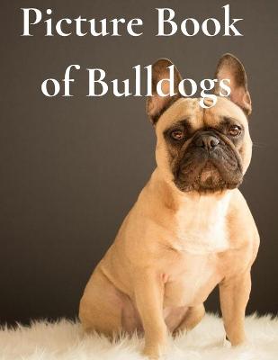 Book cover for Picture Book of Bulldogs