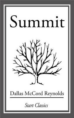 Book cover for Summit