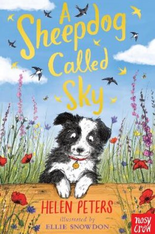 Cover of A Sheepdog Called Sky