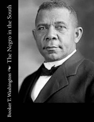 Book cover for The Negro in the South