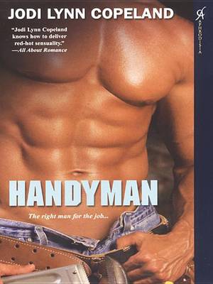 Book cover for Handyman