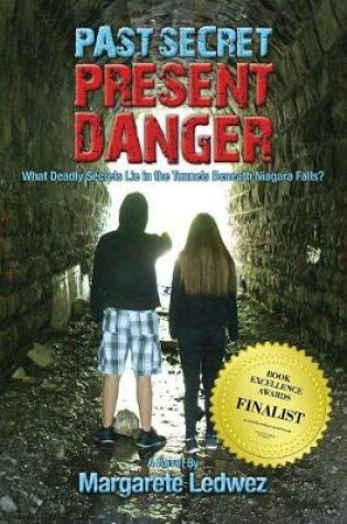 Cover of Past Secret Present Danger
