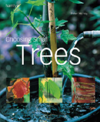 Book cover for Choosing a Small Tree