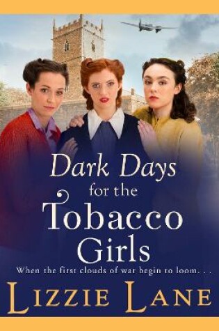 Cover of Dark Days for the Tobacco Girls