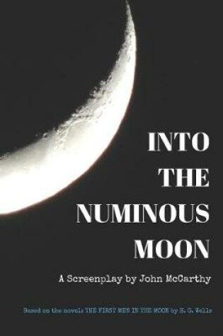 Cover of Into the Numinous Moon