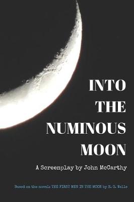 Book cover for Into the Numinous Moon