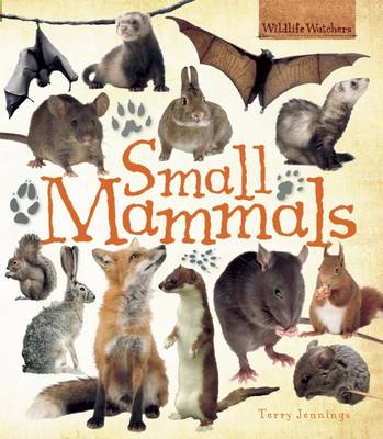 Book cover for Small Mammals