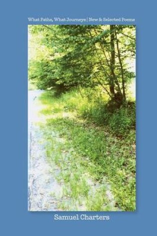 Cover of What Paths, What Journeys