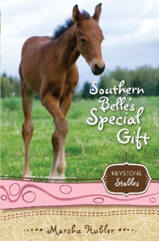 Cover of Southern Belle's Special Gift