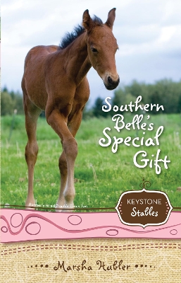 Book cover for Southern Belle's Special Gift