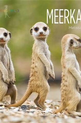 Cover of Meerkats