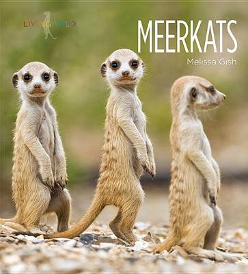 Book cover for Meerkats