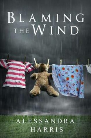 Cover of Blaming the Wind