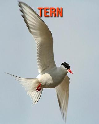 Book cover for Tern