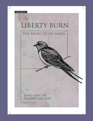 Book cover for Liberty Burn