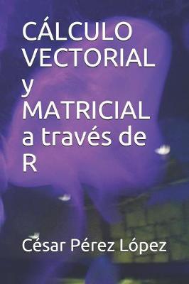 Book cover for CALCULO VECTORIAL y MATRICIAL a traves de R