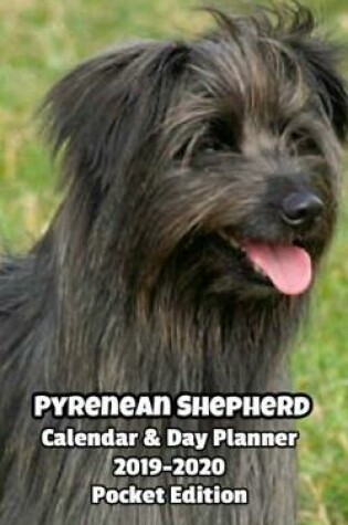 Cover of Pyrenean Shepherd Calendar & Day Planner 2019-2020 Pocket Edition
