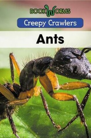 Cover of Ants