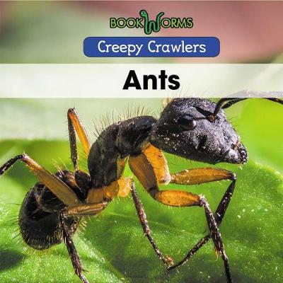 Cover of Ants