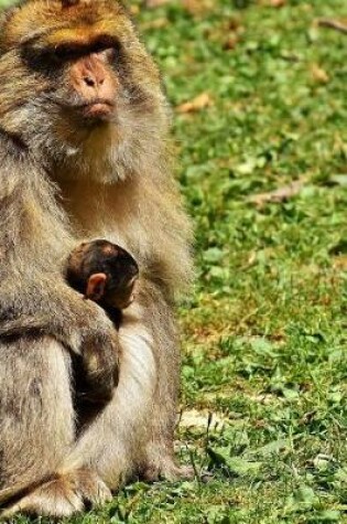 Cover of Barbary Macaque and Baby Journal