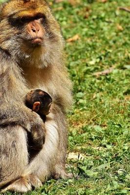 Book cover for Barbary Macaque and Baby Journal