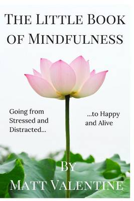 Book cover for The Little Book of Mindfulness