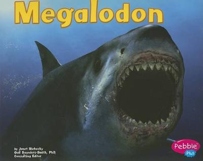 Book cover for Megalodon (Dinosaurs and Prehistoric Animals)