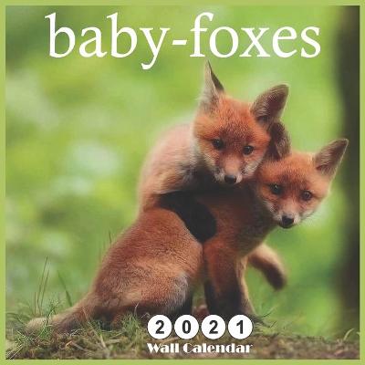 Book cover for baby-foxes