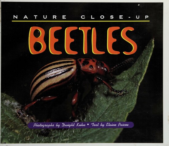 Book cover for Beetles