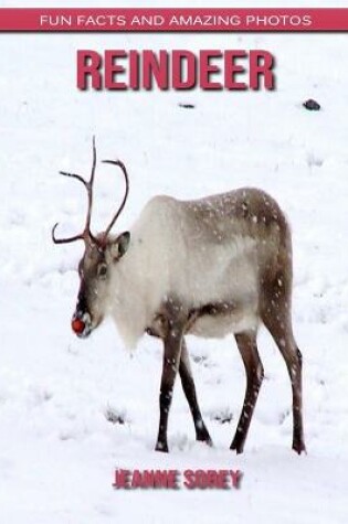 Cover of Reindeer