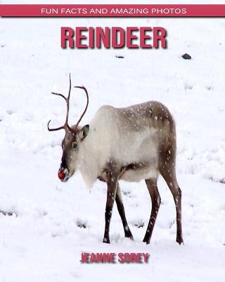 Book cover for Reindeer