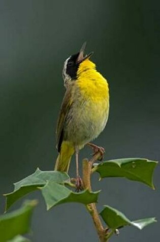 Cover of Common Yellowthroat Journal