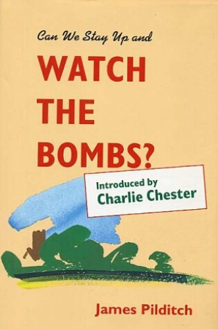 Cover of Can We Stay Up and Watch the Bombs?