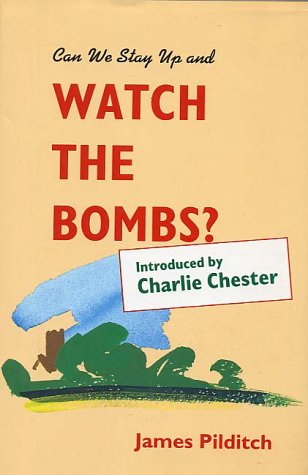 Book cover for Can We Stay Up and Watch the Bombs?