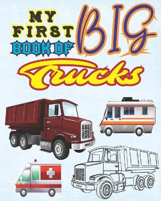 Book cover for My First Book Of Big Trucks