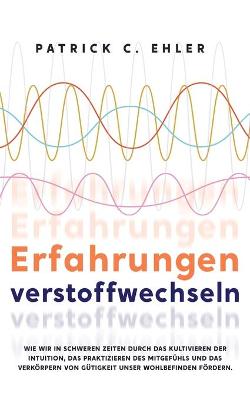 Book cover for Erfahrungen verstoffwechseln