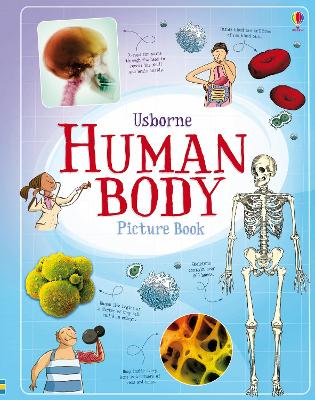Book cover for Human Body Picture Book